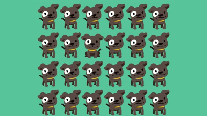 Test de inteligență | Unul dintre acești 24 de căței este diferit de ceilalți. Găsiți „impostorul”!