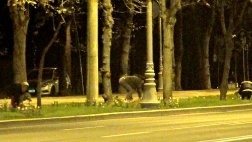 Jaf la drumul mare! Hotii de lalele, surprinsi in flagrant de paparazzii CANCAN.ro!