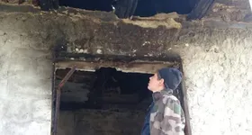 Galerie foto - poza 1