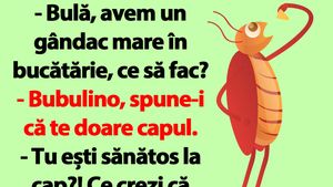 Bancul dimineții | "Bulă, avem un gândac mare în bucătărie, ce să fac?"