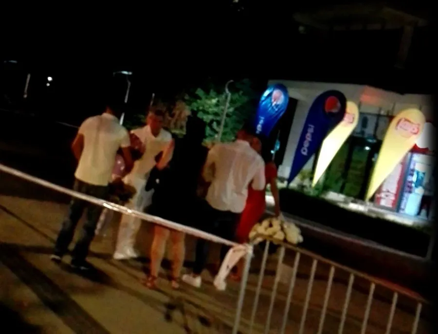 IOana, Ilie și câțiva prieteni se retrag de la petrecere