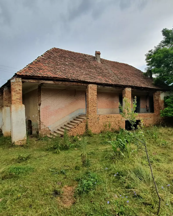 Dana Rogoz, vecină cu Regele Charles! Cum arată casa din Viscri. FOTO