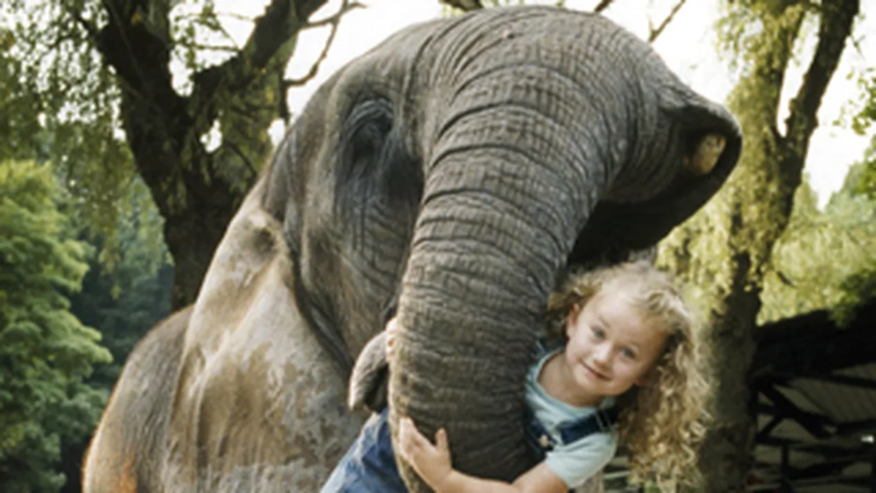 Traieste printre animalele salbatice