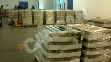 69 de tone de conserve stricate au ajuns in Romania!  Marfa e otrava curata si a fost confiscata de Garda Financiara si Politia Timis