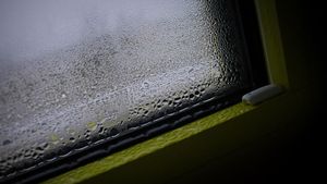 Cum scapi de condensul de pe geamuri cu un singur produs din Pet Shop. Toate gospodinele trebuie să ştie acest truc