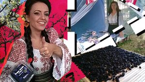 Au dezvoltat o mega-afacere cu… prune uscate!