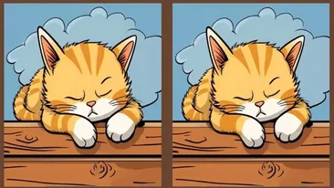 Test de perspicacitate | Găsiți toate cele 3 diferențe între cele două pisici din imagine, în maximum 23 de secunde