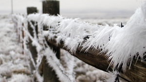 Cea mai scazut temperatura din acest an! MINUS 26 DE GRADE, la Miercurea Ciuc!