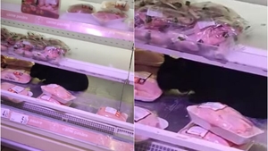 Ireal! Ce a putut să găsească un client într-un supermarket din Capitală: „Bagă, fata mea, bagă!”