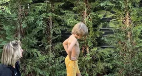 Galerie foto - poza 4