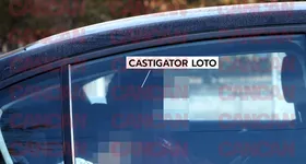 Galerie foto - poza 4