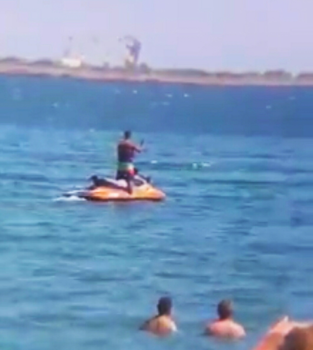 Apariție spectaculoasă la Eforie Nord. Turiștii au scos imediat telefoanele pentru a nu rata momentele | VIDEO