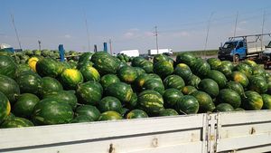 "Ieri am cumpărat un pepene dintr-o intersecție, de la o familie de romi". Ce surpriză a avut când a ajuns acasă și a tăiat pepenele