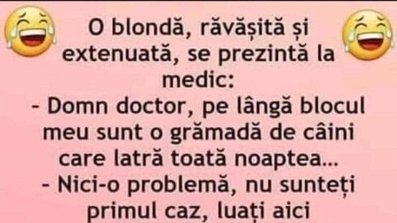 BANC | "Doctore, lângă blocul meu sunt mulți câini, care latră toată noaptea"