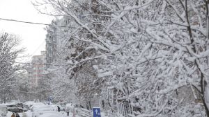 Prognoza meteo emisă de ANM. Se întorc ninsorile în România! Ce zone sunt vizate