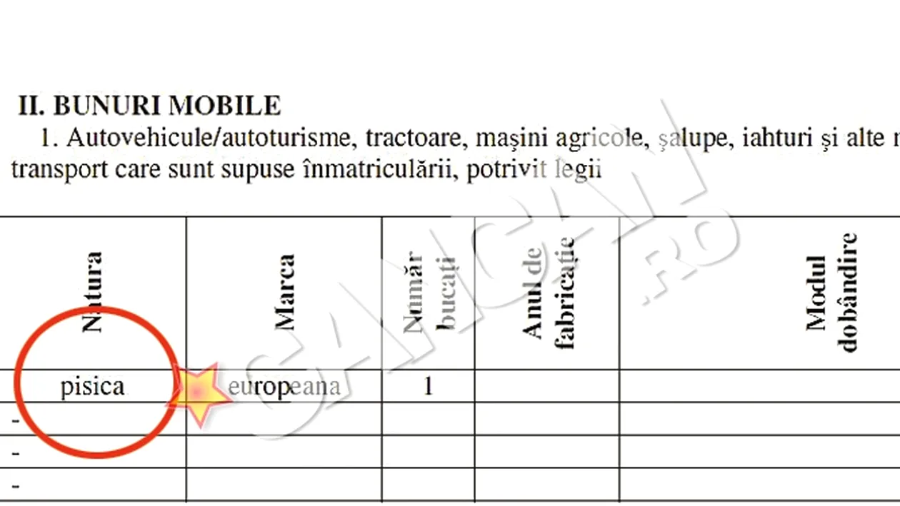 O functionara a Casei de Asigurari de Sanatate din Iasi a inscris animalul de companie la Bunuri Mobile. Si-a trecut pisica la rubrica avere