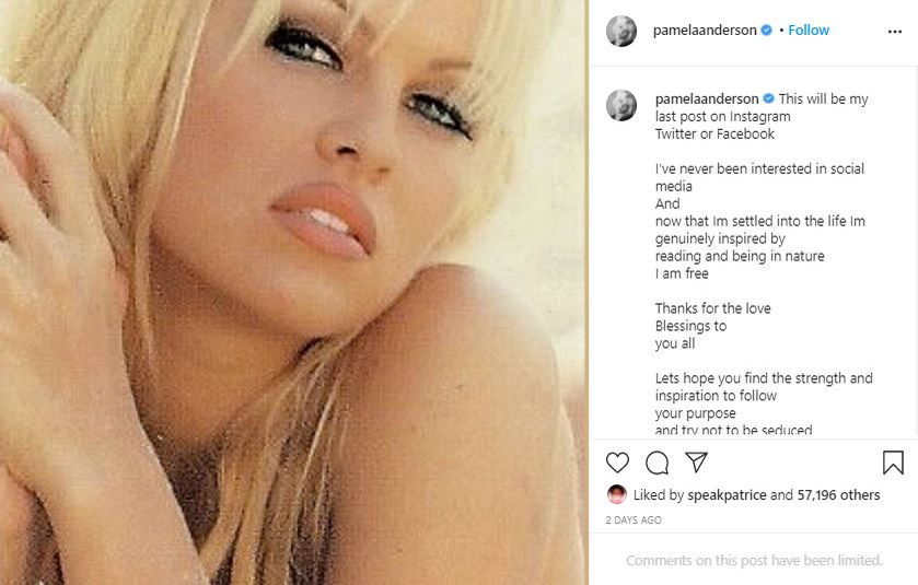 Pamela Anderson s-a căsătorit în secret cu Dan Hayhurst! Cum arată rochia pe care actrița a îmbrăcat-o când a devenit mireasă pentru a cincea oară | FOTO & VIDEO
