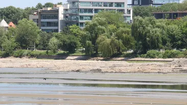Asa ceva nu s-a mai vazut pana acum! Lacul Herastrau, transformat in groapa de gunoi “de lux”