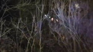Un adolescent din Iaşi s-a urcat într-un copac şi s-a spânzurat cu şireturile de la bocanci sub ochii medicilor! Detalii înfiorătoare