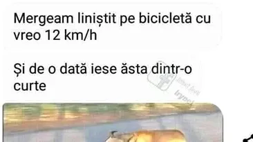 BANCUL ZILEI | Mergeam liniștit cu bicicleta