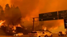 Iadul pe pământ în Chile: 15 morți, 20.000 de oameni evacuați. Președintele declară stare de catastrofă
