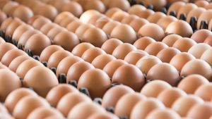 Vânzările de ouă, în scădere cu 30% în perioada Paștelui! Care sunt motivele și cum sunt afectați producătorii