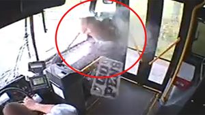 Imagini nerecomandate iubitorilor de animale! Cum a ajuns o caprioara lovita de autobuz sa faca sarituri incredibile pe scaune