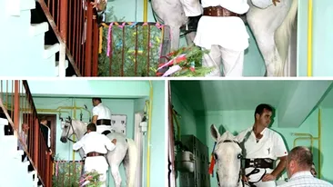 Imagini incredibile! A intrat într-un bloc călare pe un cal ca să își ceară mireasa de la părinți: Un cavaler la pețit