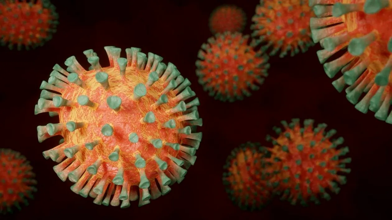 Coronavirus 31 iulie. 1.295 de cazuri noi de persoane infectate cu SARS – CoV - 2 (COVID – 19)