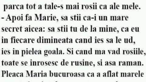 BANC | Ion și Maria erau grădinari. “Măi Ioane, cum faci tu că, la tine, roșiile sunt mai roșii ca ale mele?”