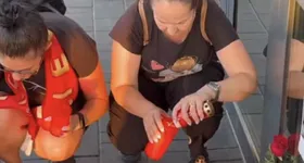 Galerie foto - poza 2