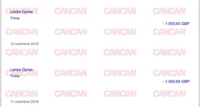 Galerie foto - poza 4