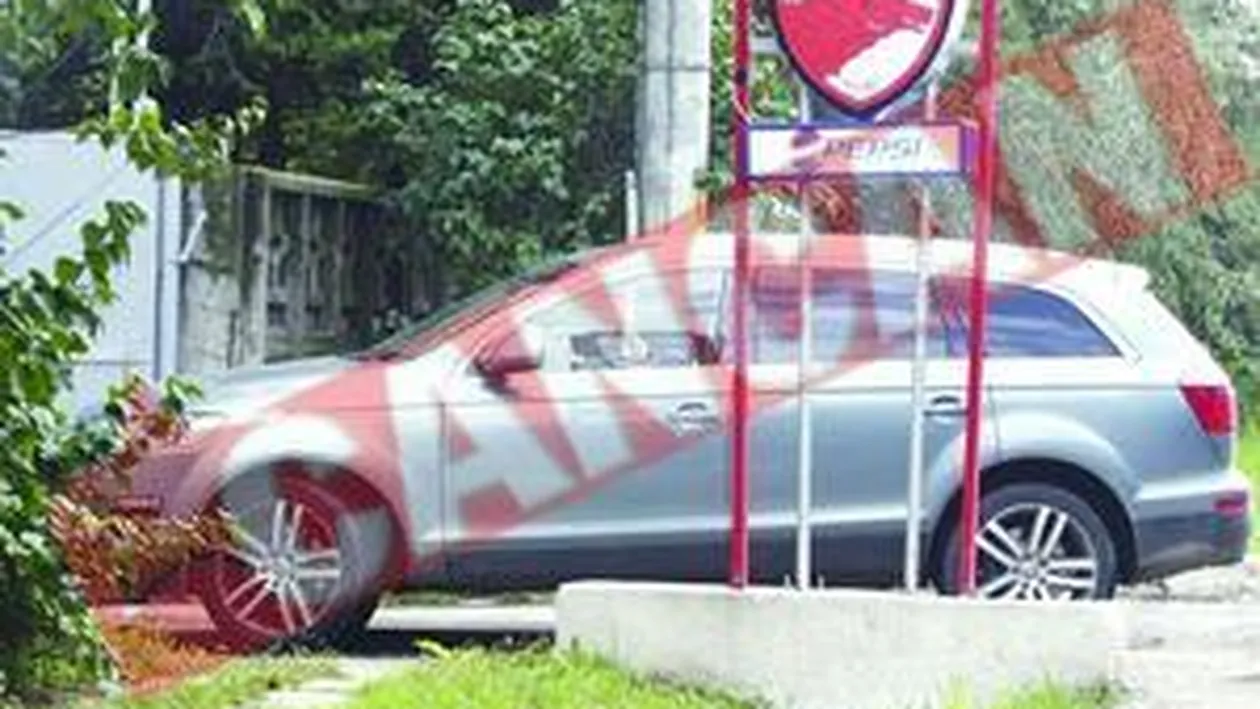 Rednic si-a strans calabalacul de la Saftica