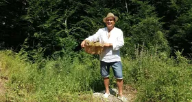 Galerie foto - poza 2