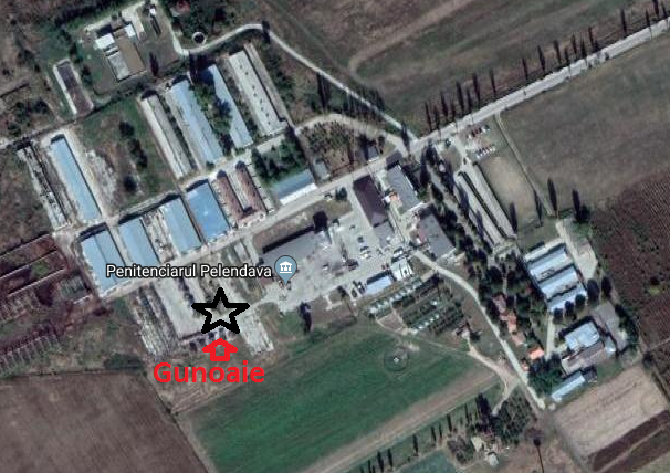 Penitenciarul Pelendava din Craiova, transformat într-o groapă de gunoi! Deținuții au contractat boli delicate și sunt revoltați