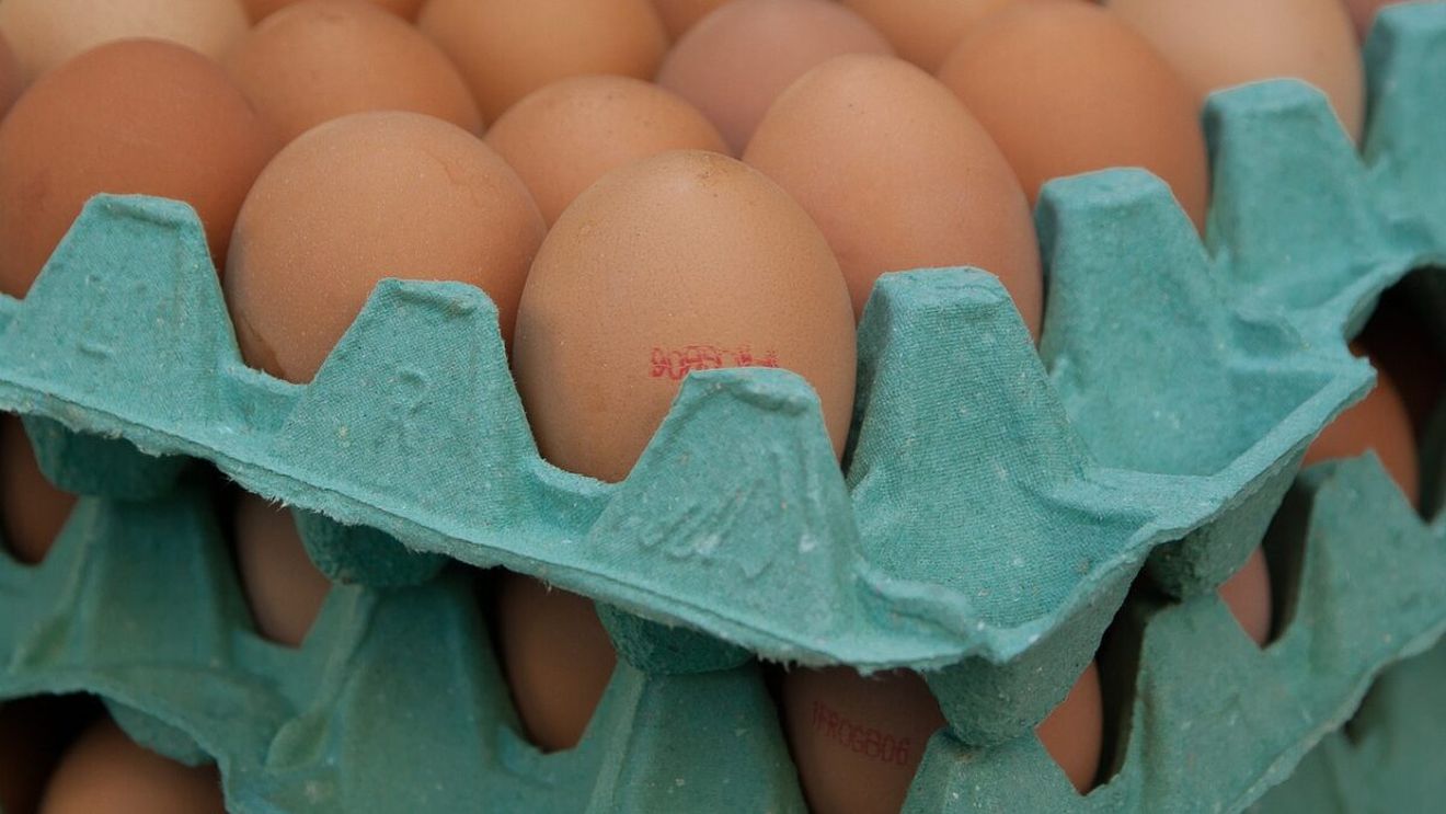 Nu e banc! Cât a ajuns să coste o duzină de ouă în New York sau California