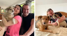 Galerie foto - poza 2