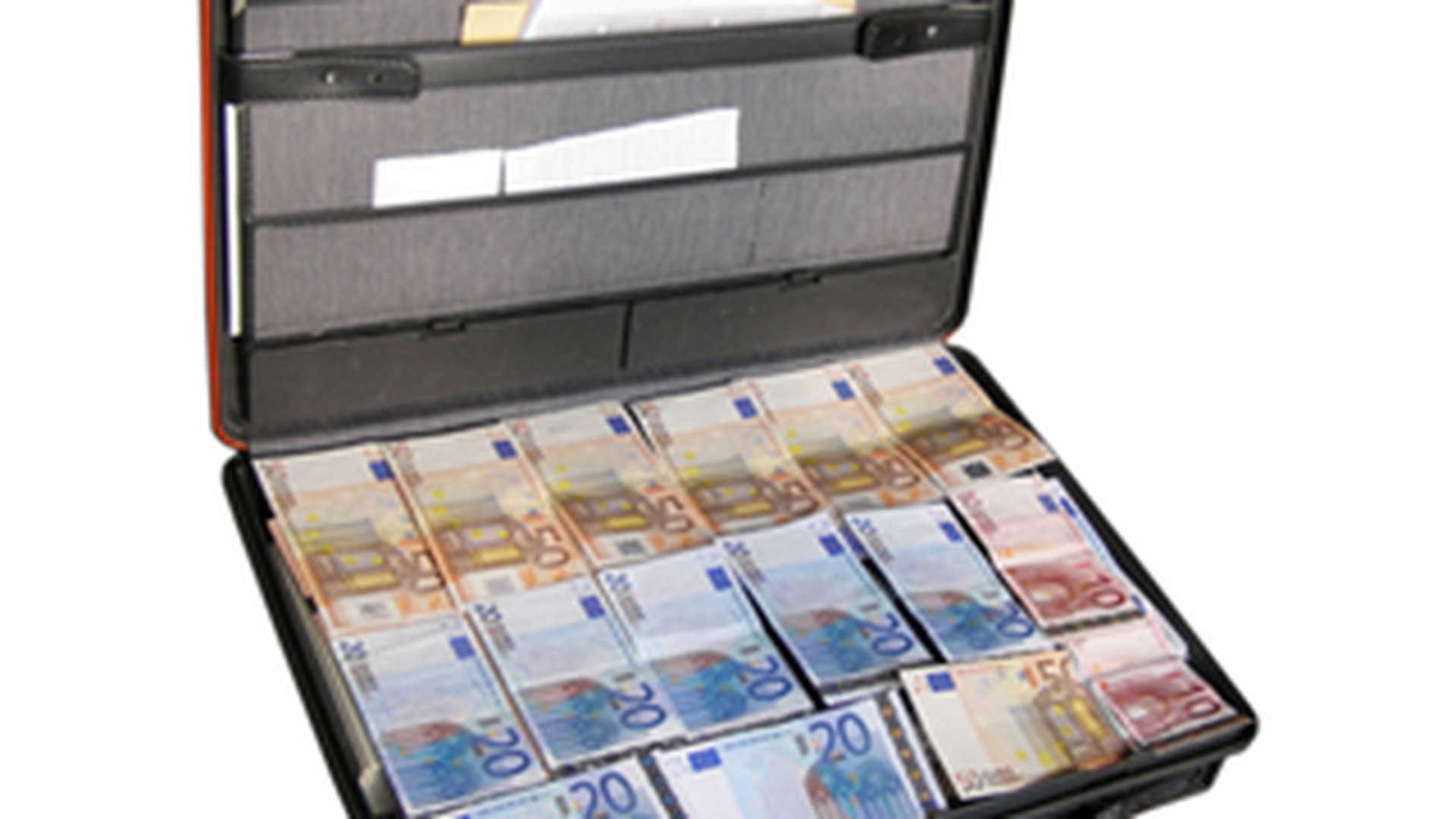 Cea mai buna meserie pe timp de criza! O firma daneza cauta 40 de muncitori care sa jupoaie nurci pentru 100 de euro pe zi