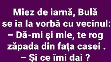 BANC | Miez de iarnă, Bulă se ia la vorbă cu vecinul