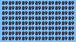 Test de inteligență | Nu toate numerele din imagine sunt 89. Găsește-l pe cei diferit!