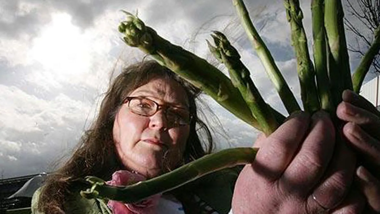 Ghiceste in sparanghel