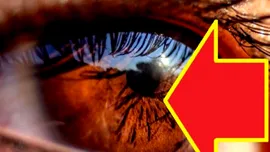 Ochii arată CINE va dezvolta DEMENȚĂ cu 12 ani înainte de diagnostic