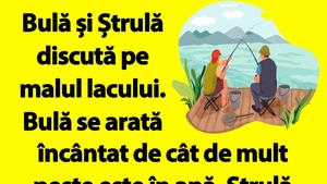 BANC | Bulă și Ștrulă discută pe malul lacului