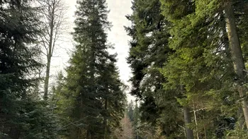 Prognoza meteo azi, 27 decembrie 2025. Frigul a pus stăpânire pe România! Zonele în care va ninge ca în basme