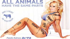 Pamela Anderson, interzisa in Canada