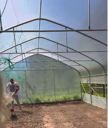 Cum arată solarul Danei Nălbaru și al lui Dragoș Bucur. Vedetele vor planta legume: „Ne inspiri”