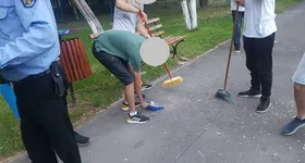 Galerie foto - poza 2