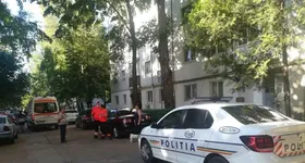 Galerie foto - poza 3