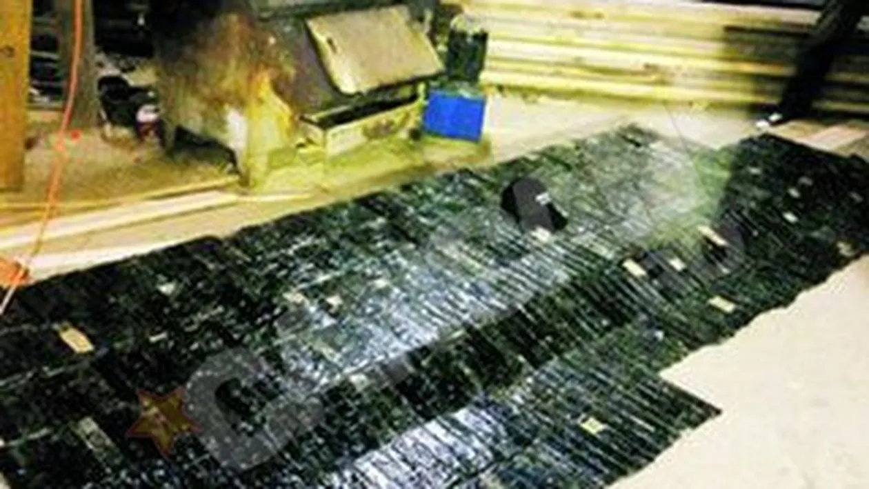 Captura record de cocaina