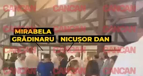 Galerie foto - poza 2